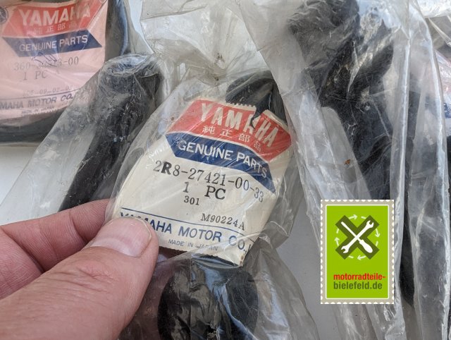 PXL_20240523_150155418